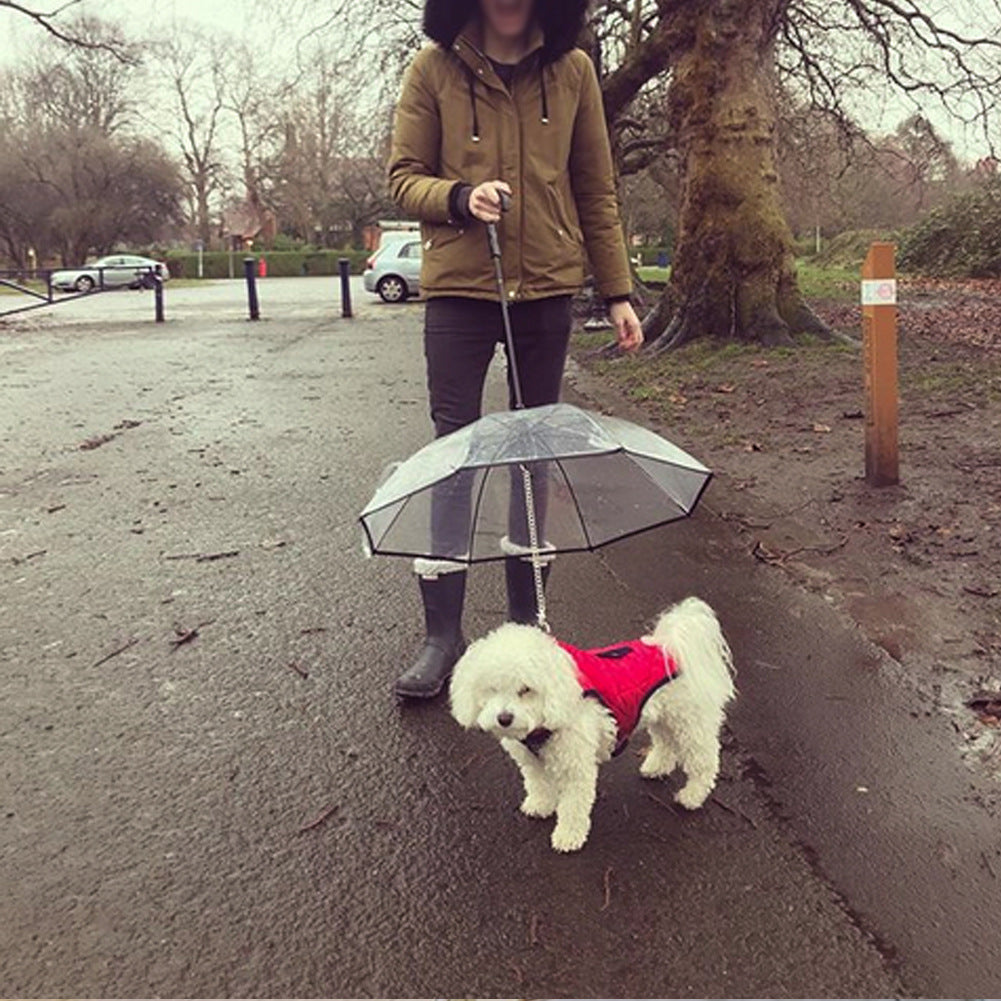 Transparent Pet Outdoor Umbrella
