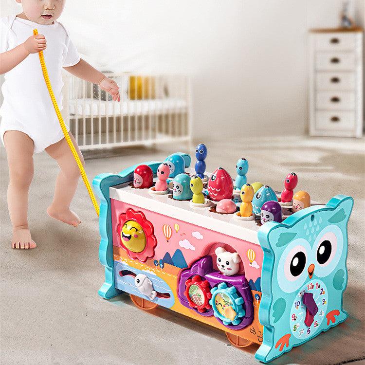 Learning Toys