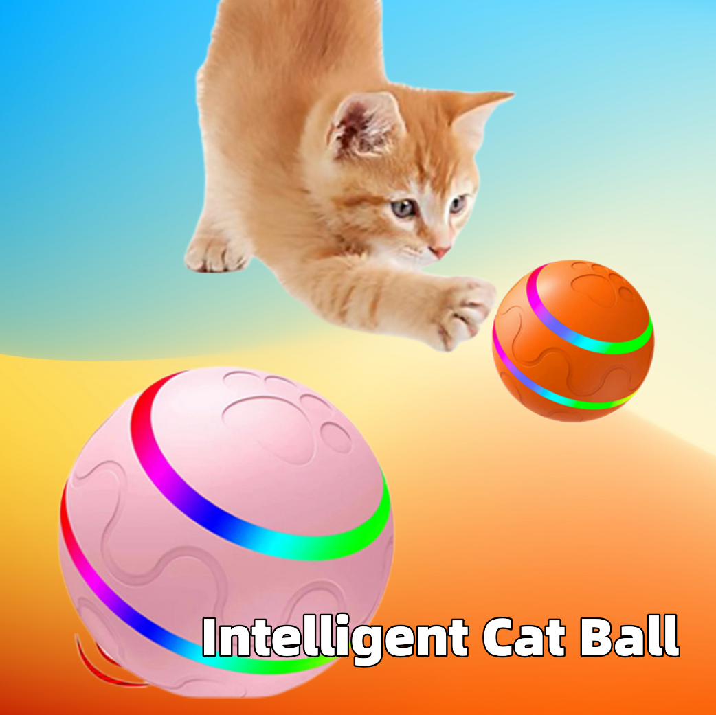 Intelligent Wicked Ball Toy