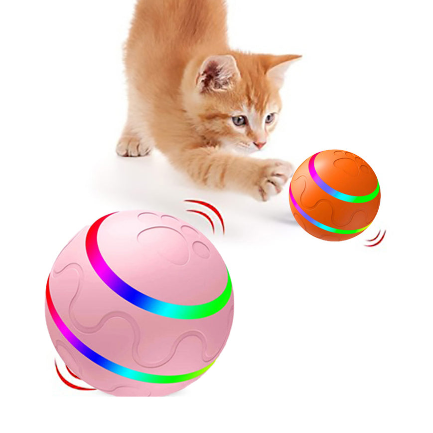Intelligent Wicked Ball Toy